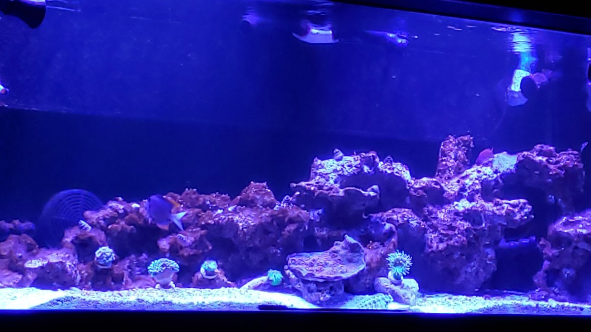 20201106_194641.jpg
