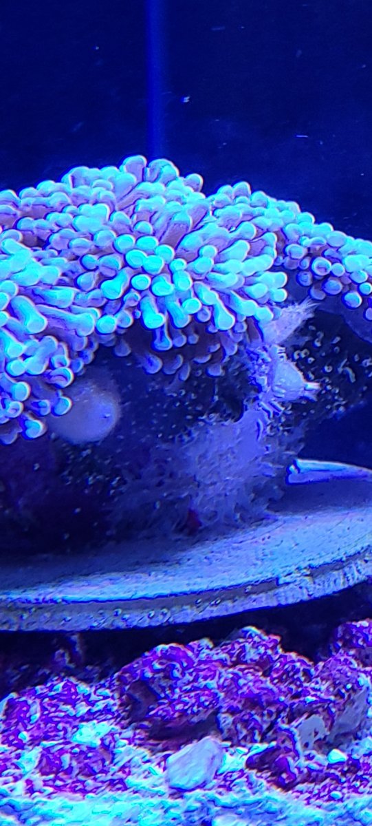 20201110_164030.jpg