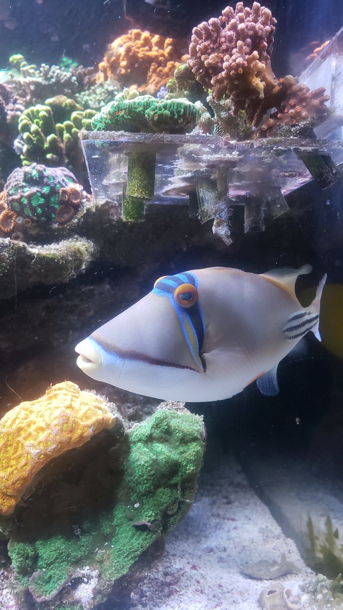 20201114_105049.jpg