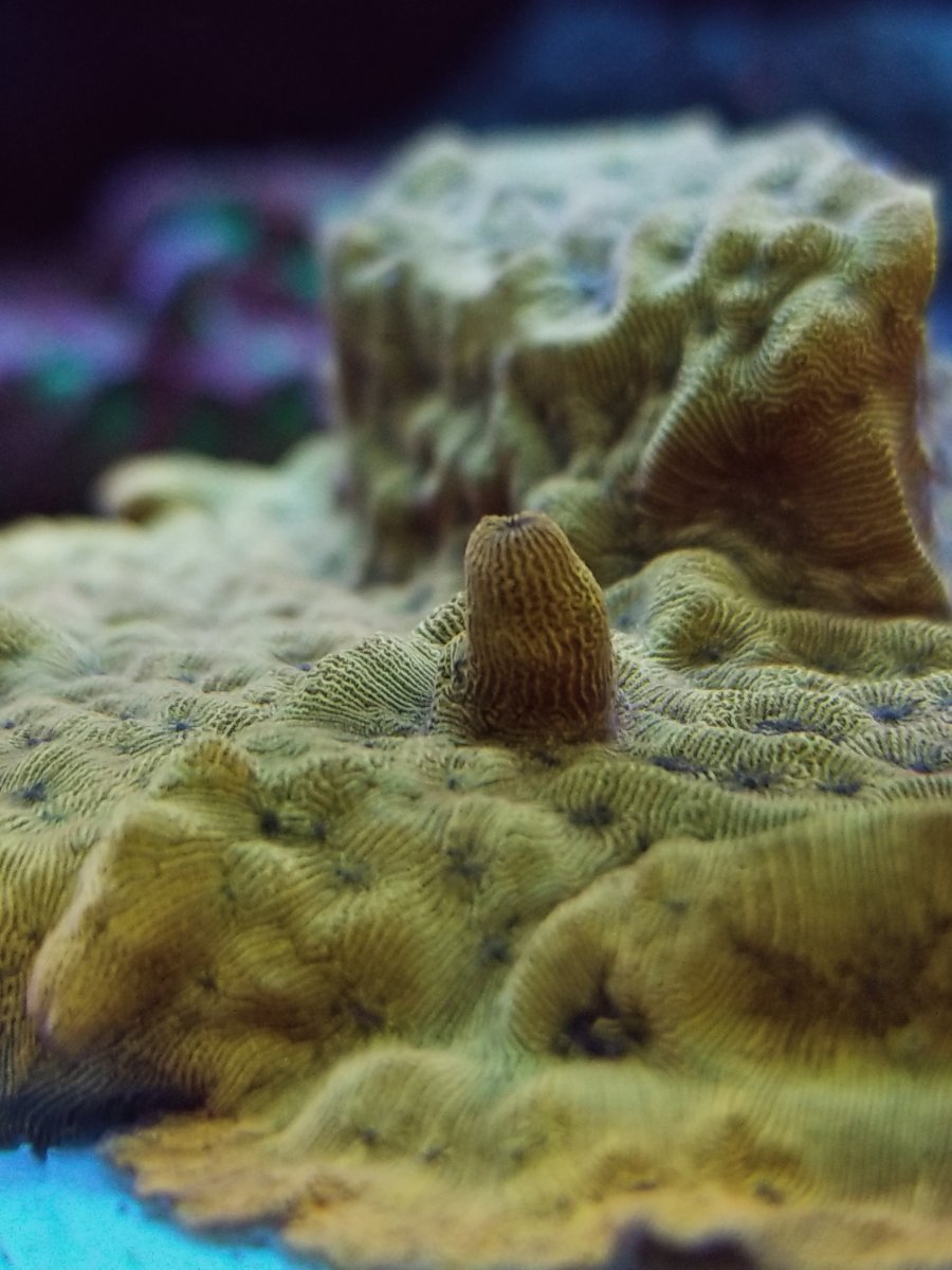 20201114_141152.jpg