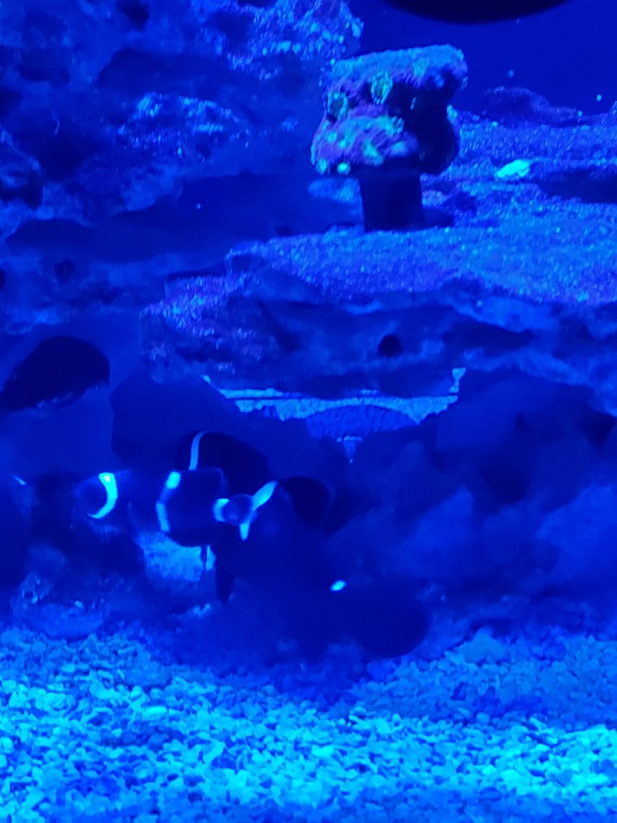 20201117_201802.jpg