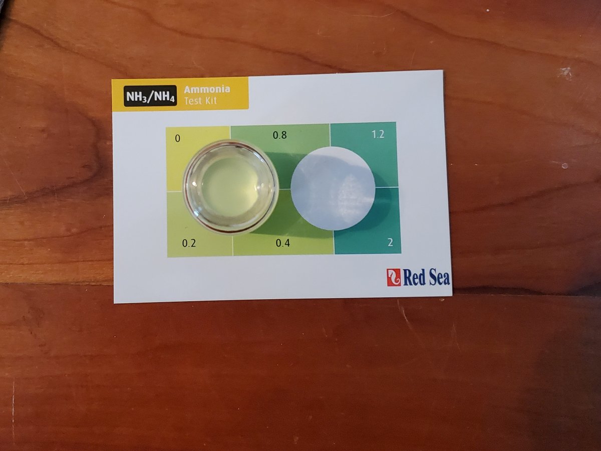 Red sea marine test kit cheap