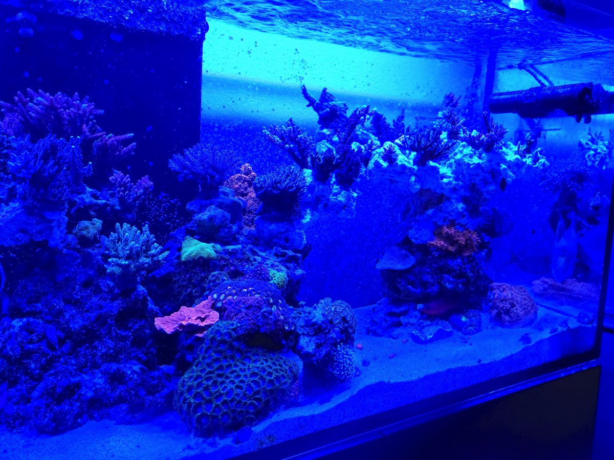 20201124_094416.jpeg