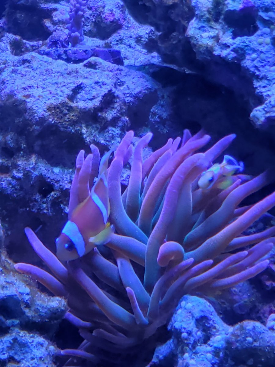 20201124_190940.jpg
