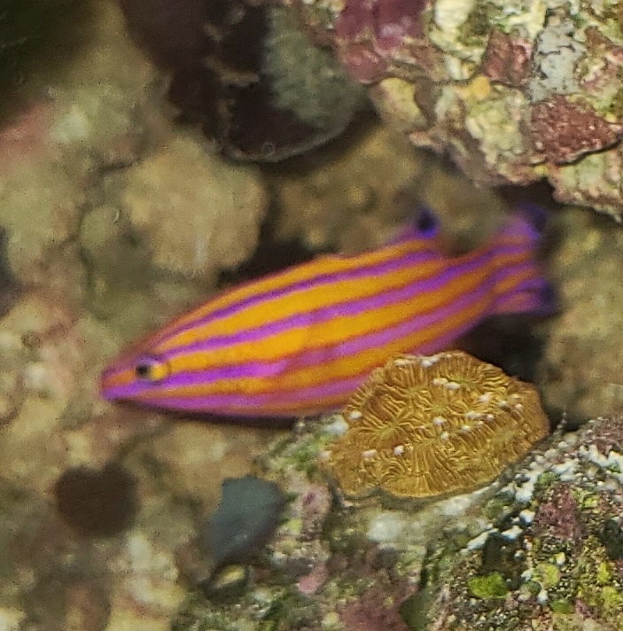20201124_215357-01.jpeg