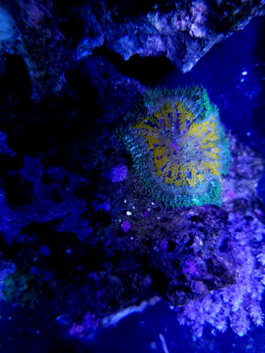 20201208_140205.jpg