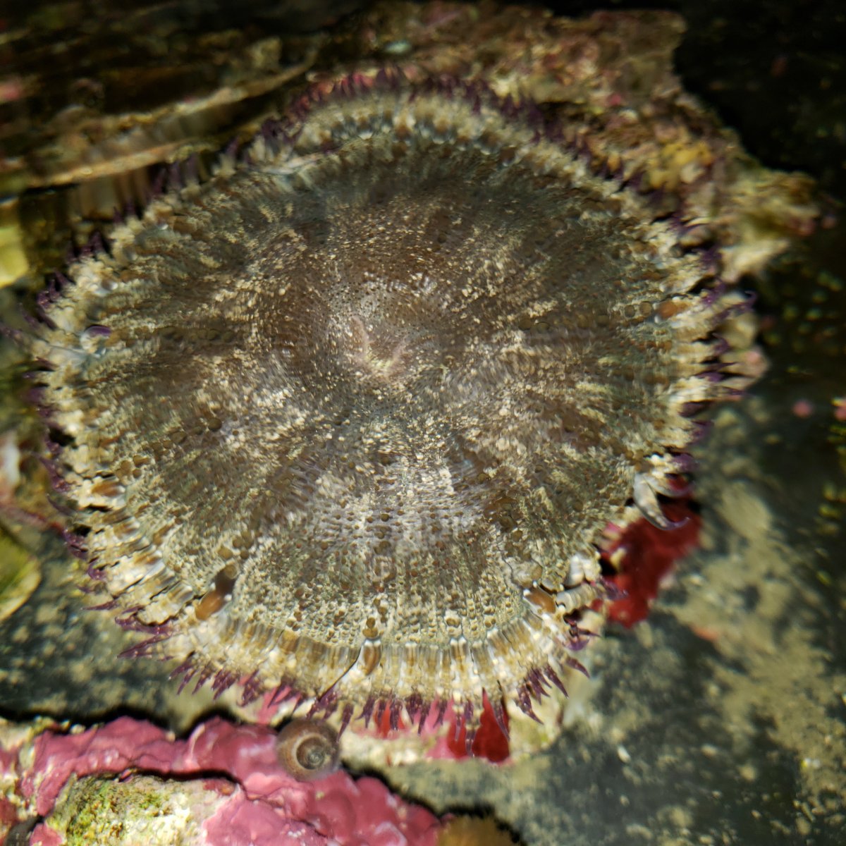 20201208_194857.jpg