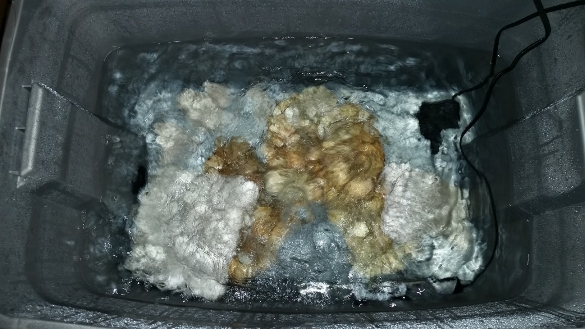 20201211_075949.jpg