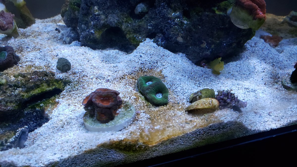 20201212_102441.jpg