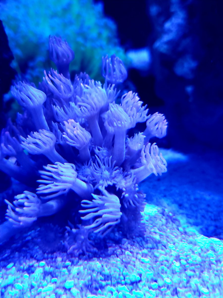 20201212_201440.jpg