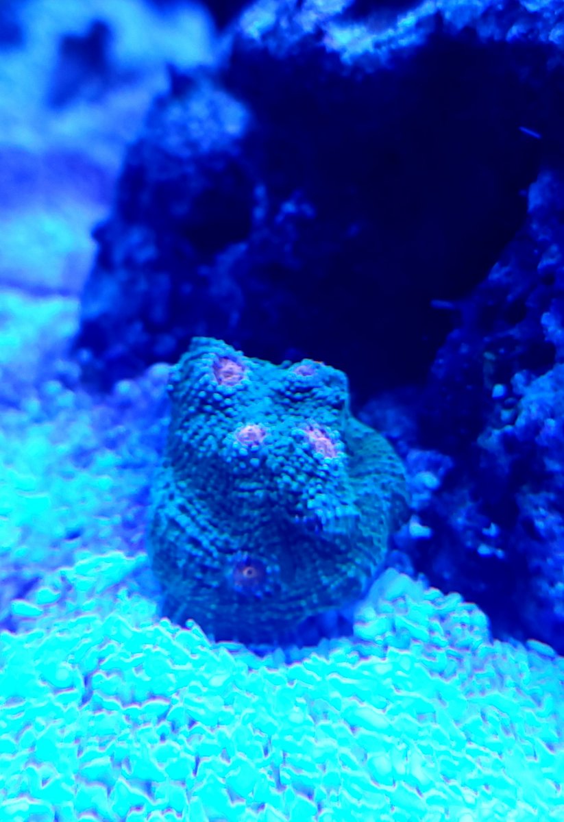 20201212_201514.jpg