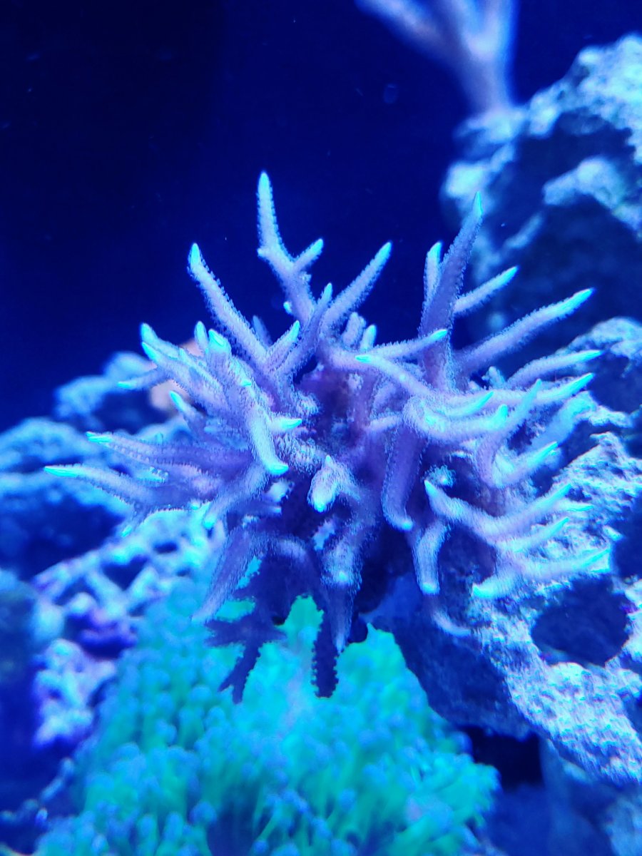 20201212_201641.jpg