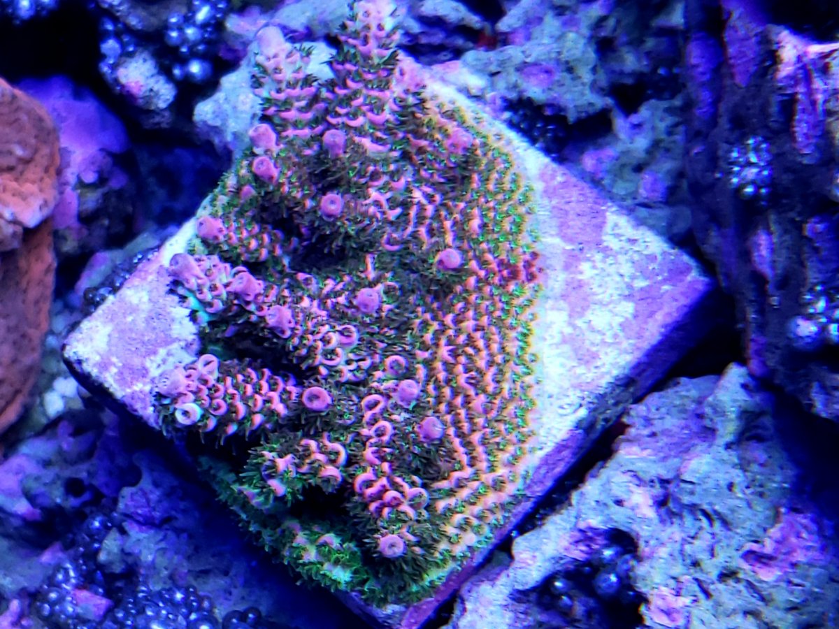 20201214_165022.jpg