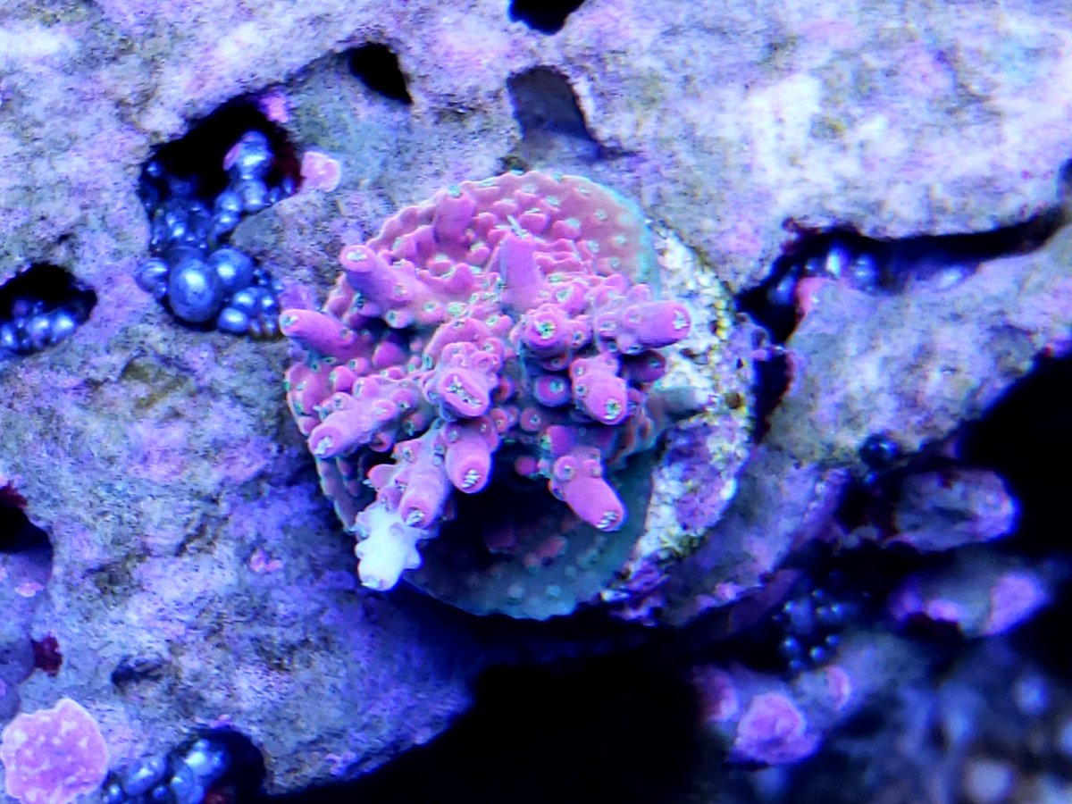 20201214_165132.jpg