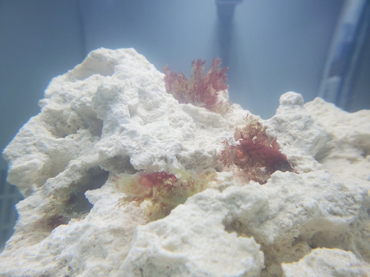 20201214_224545.jpg