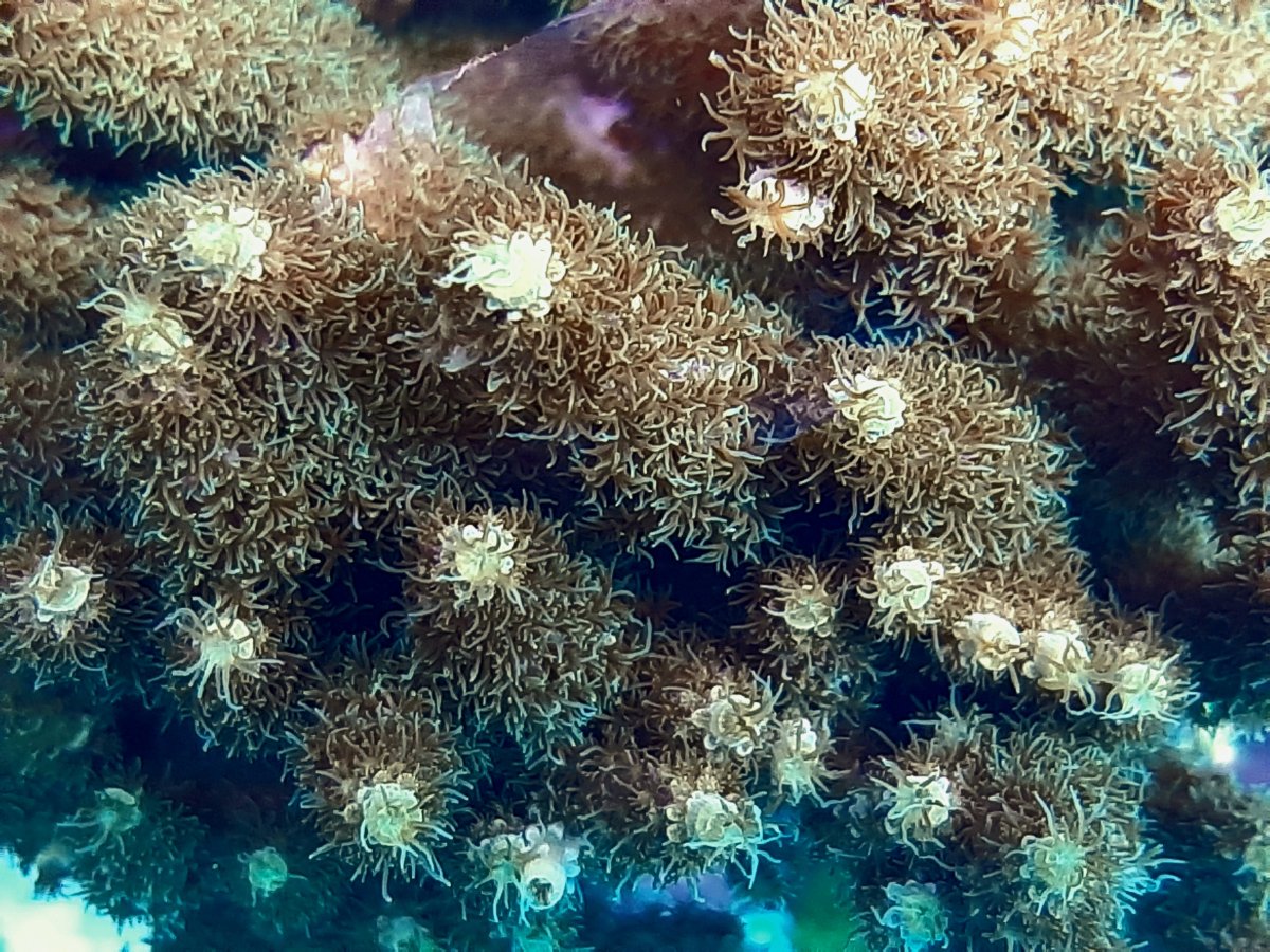 20201216_210545.jpg