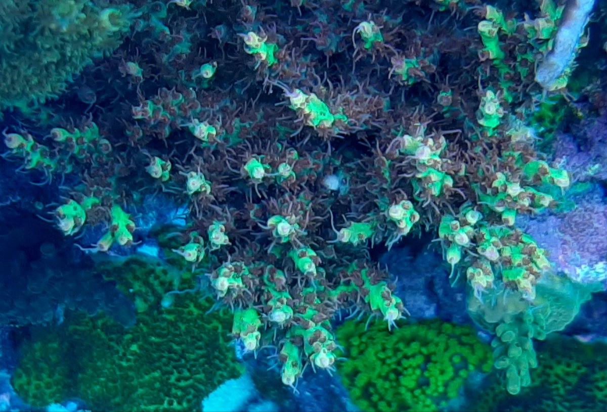 20201216_210844.jpg