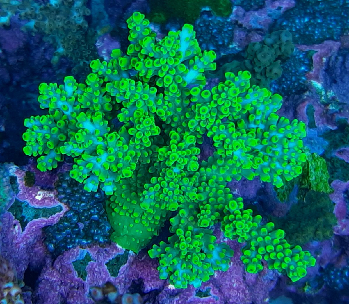 20201216_210948.jpg