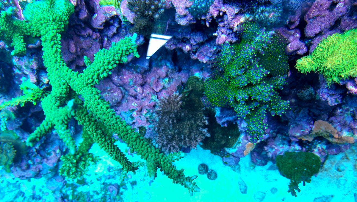 20201216_211142.jpg