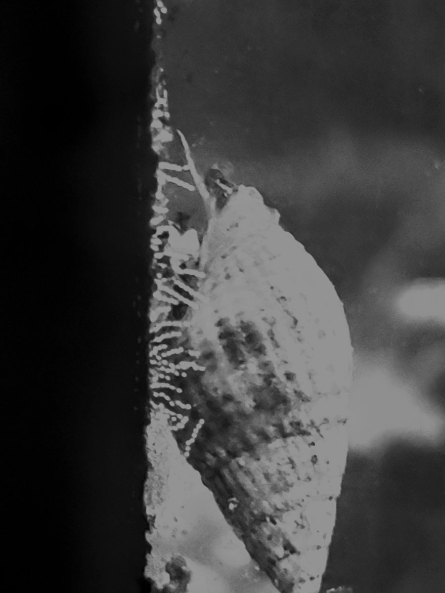 20201216_213544.jpg