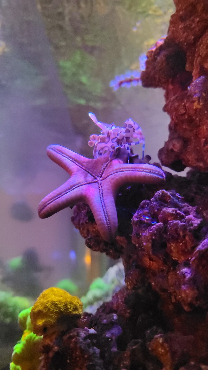 20201219_101003.jpg