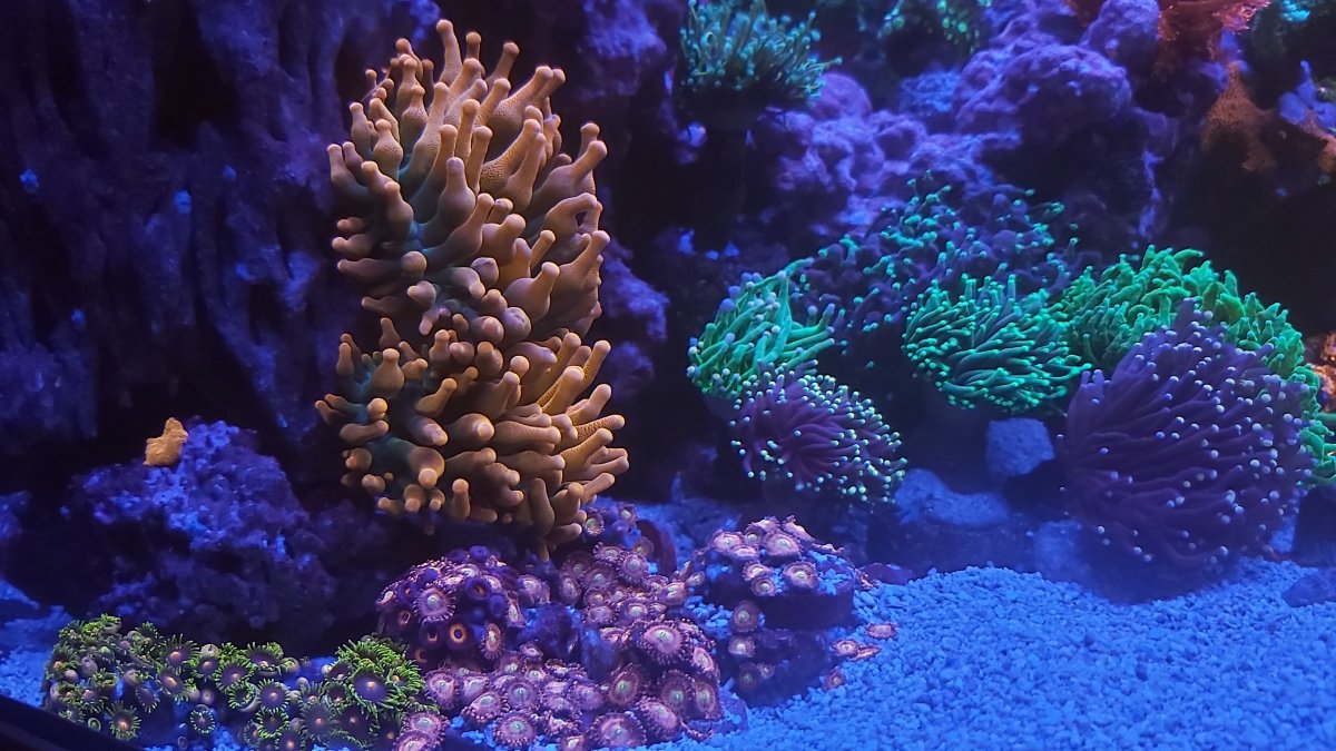 20201219_232911.jpg