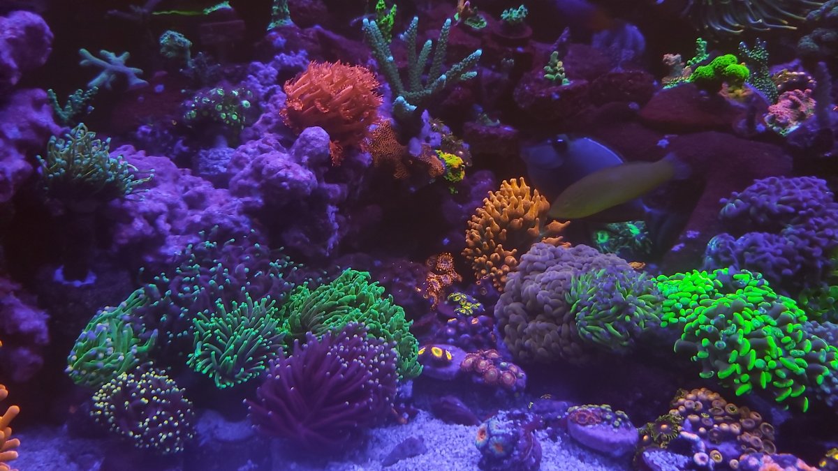 20201219_232938.jpg