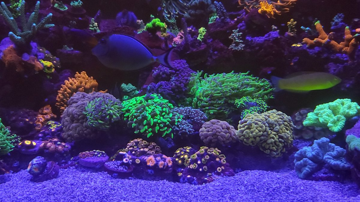 20201219_232952.jpg