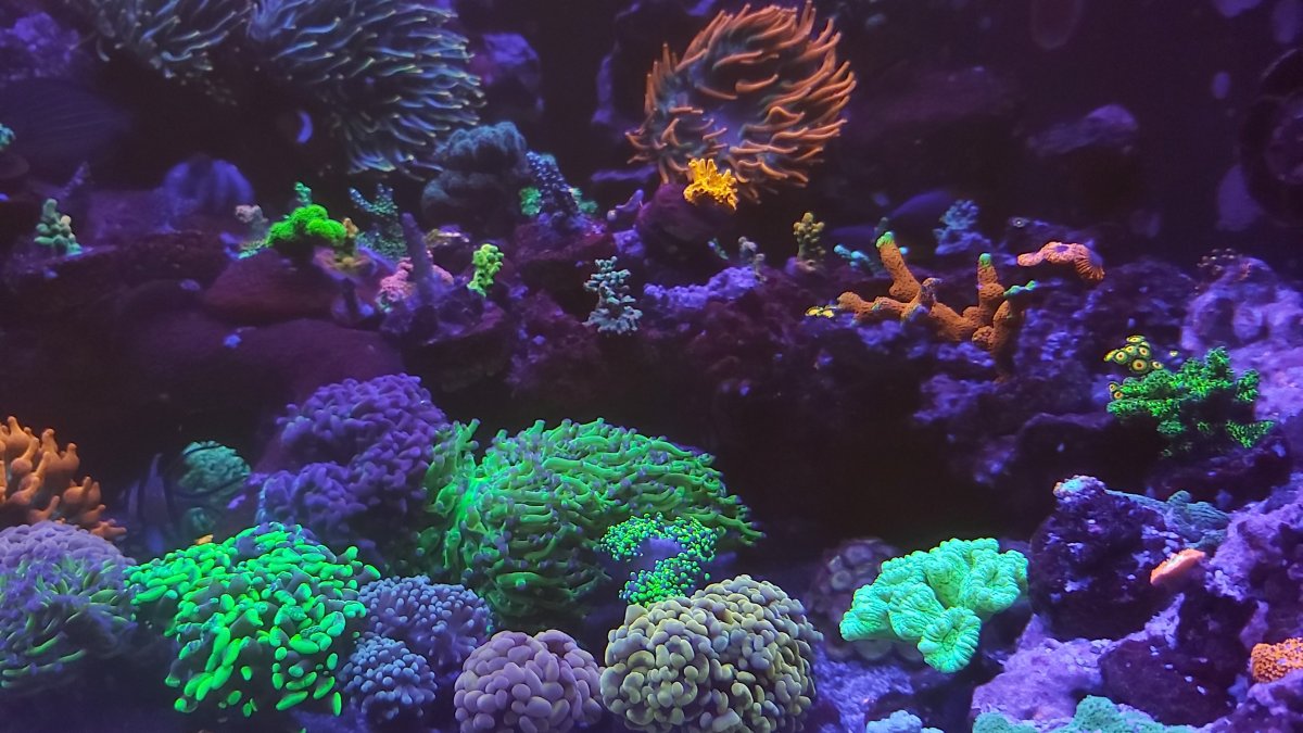 20201219_233039.jpg