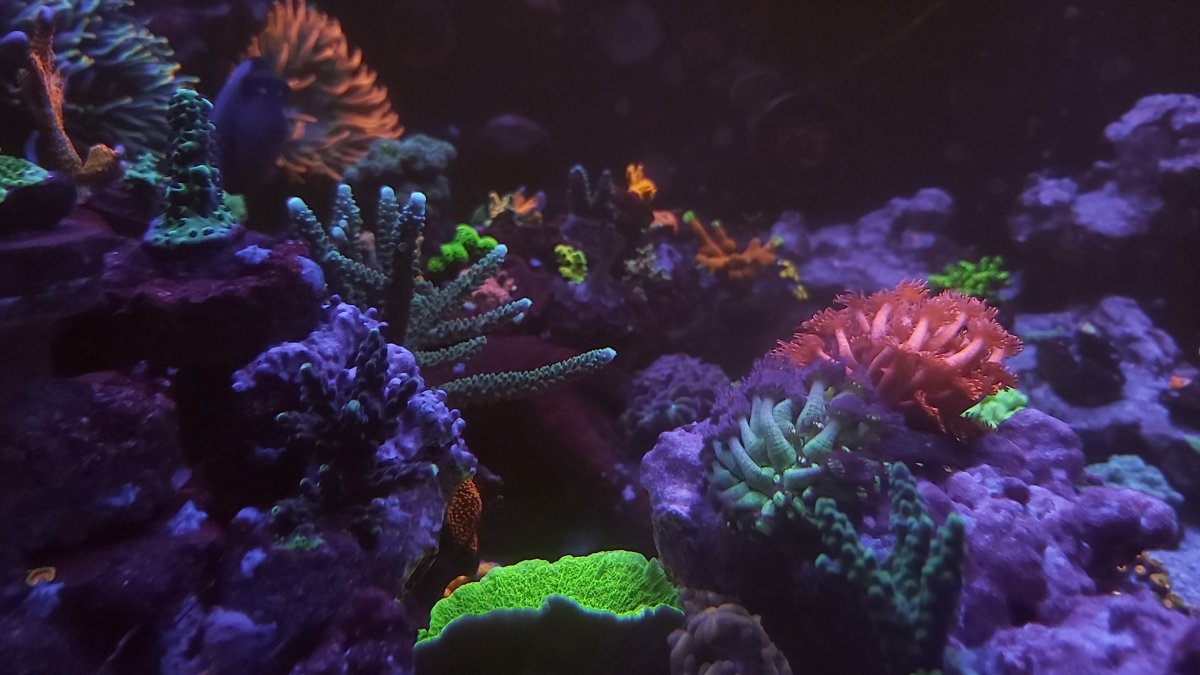 20201219_233246.jpg