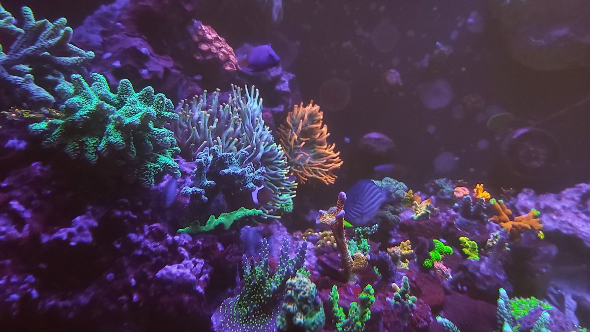 20201219_233314.jpg