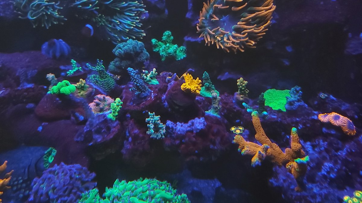20201219_233436.jpg