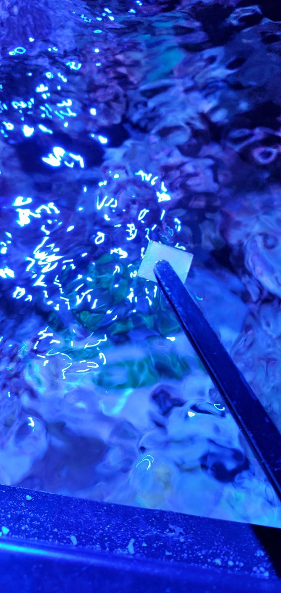 20201224_084040.jpg