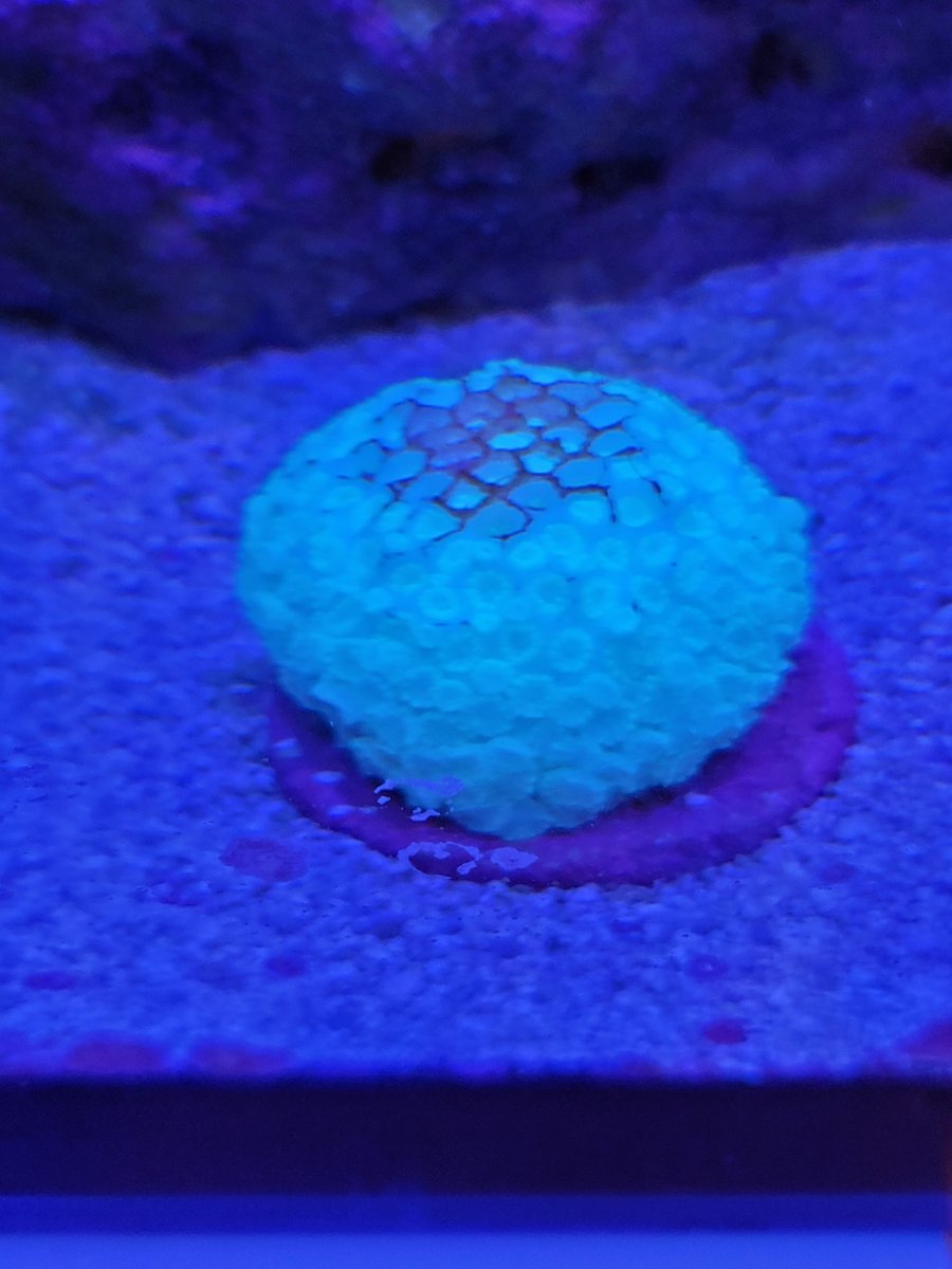 20201224_091031.jpg