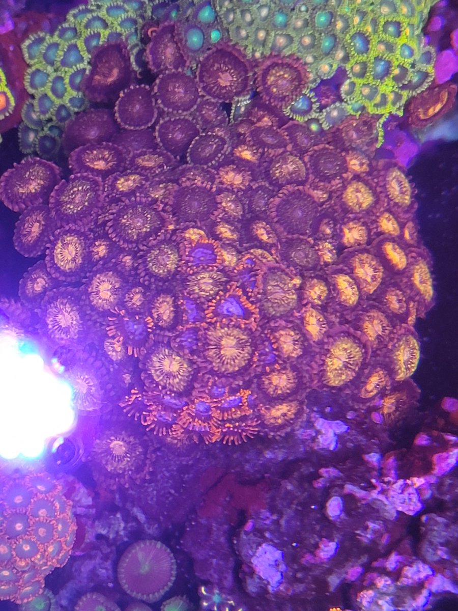 20201224_104444.jpg