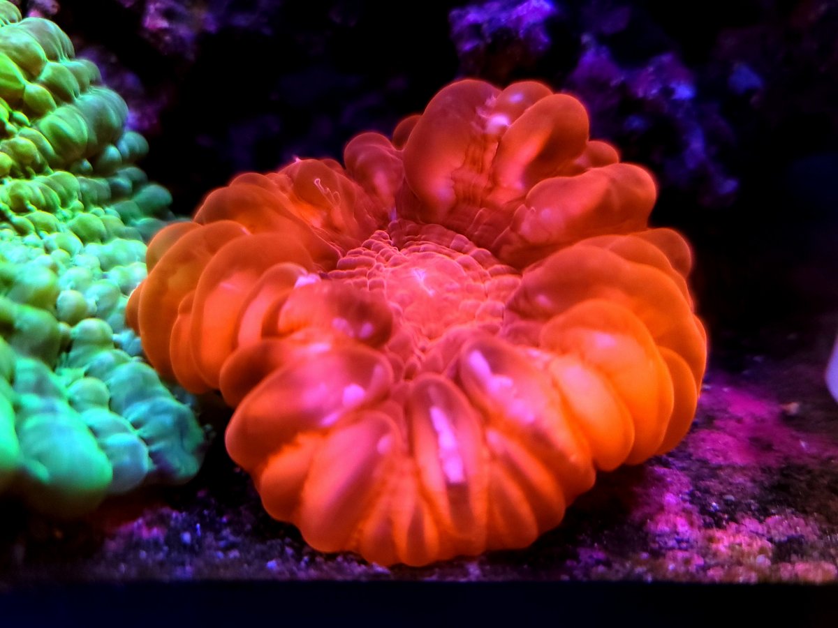 20201224_122423.jpg