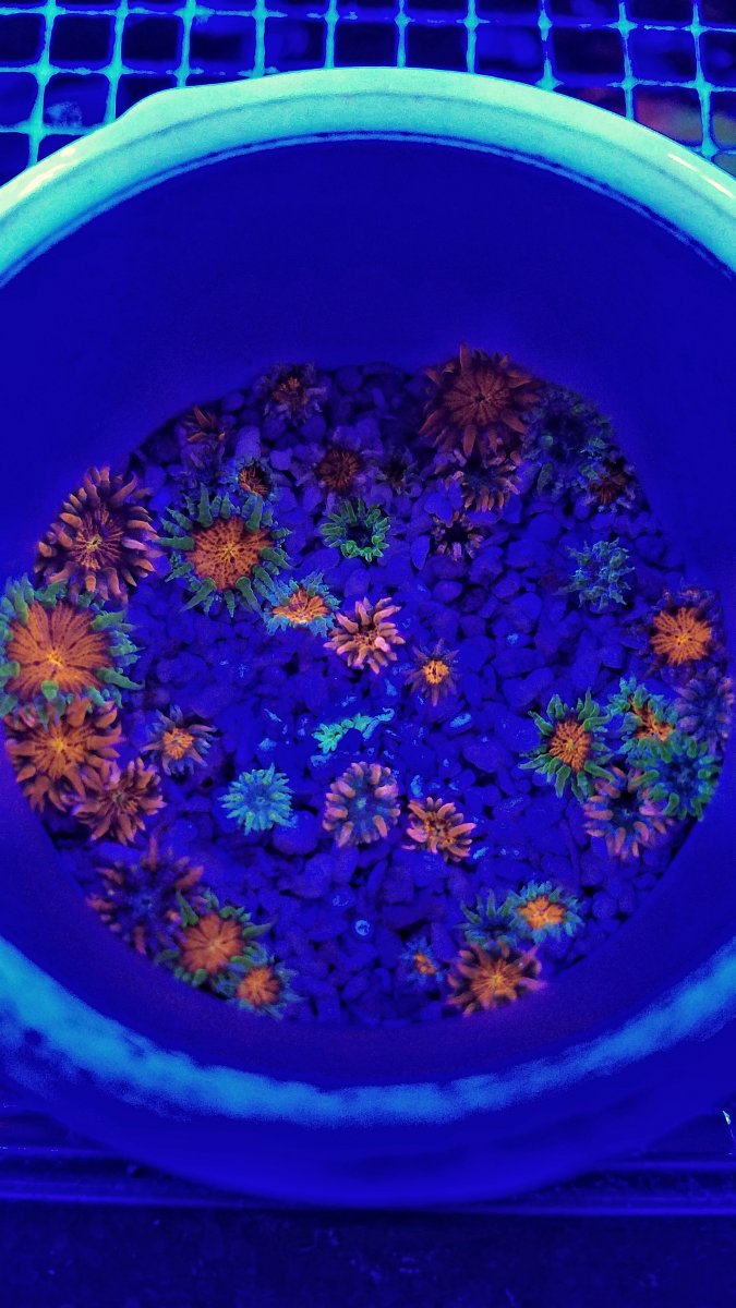 20201224_194755-01.jpeg