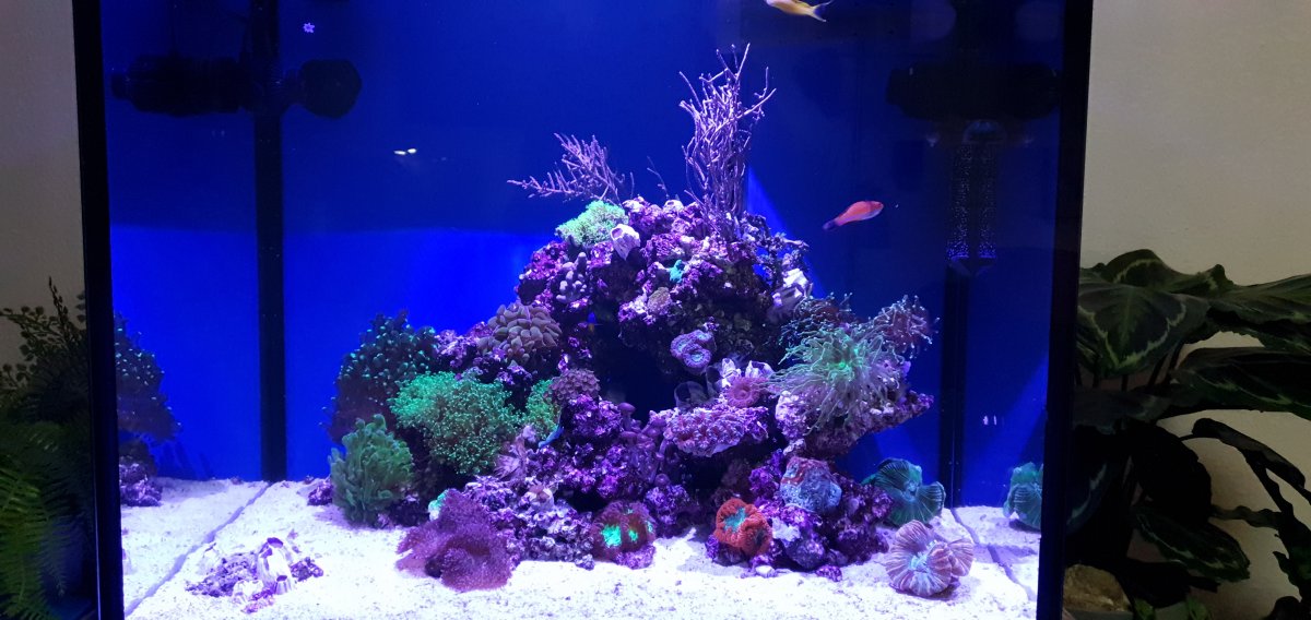 20201225_133746.jpg