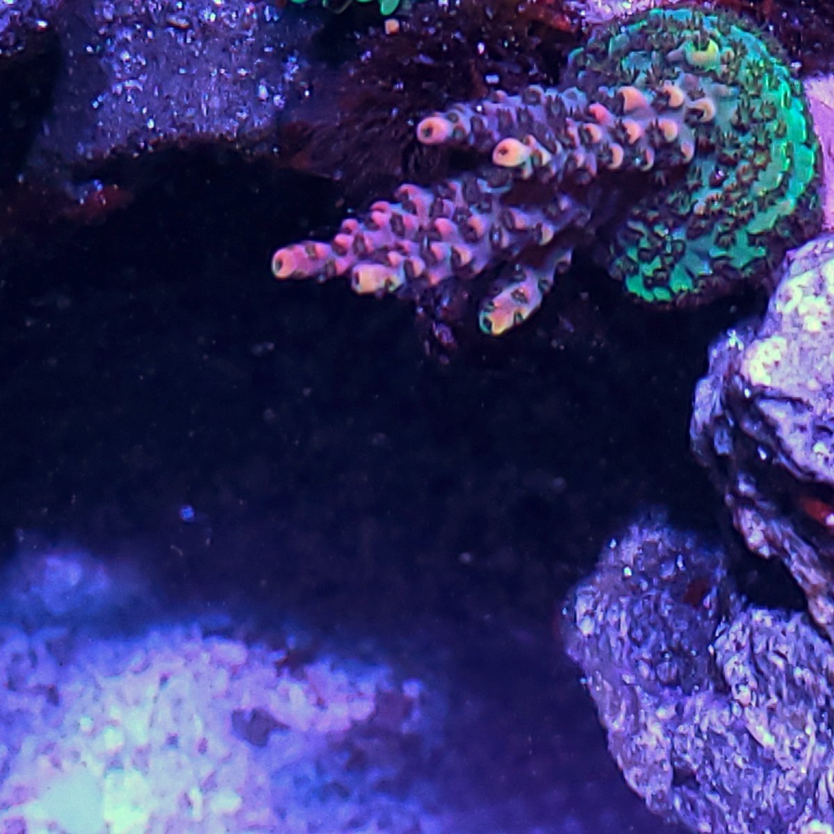 20201225_140549-01.jpeg