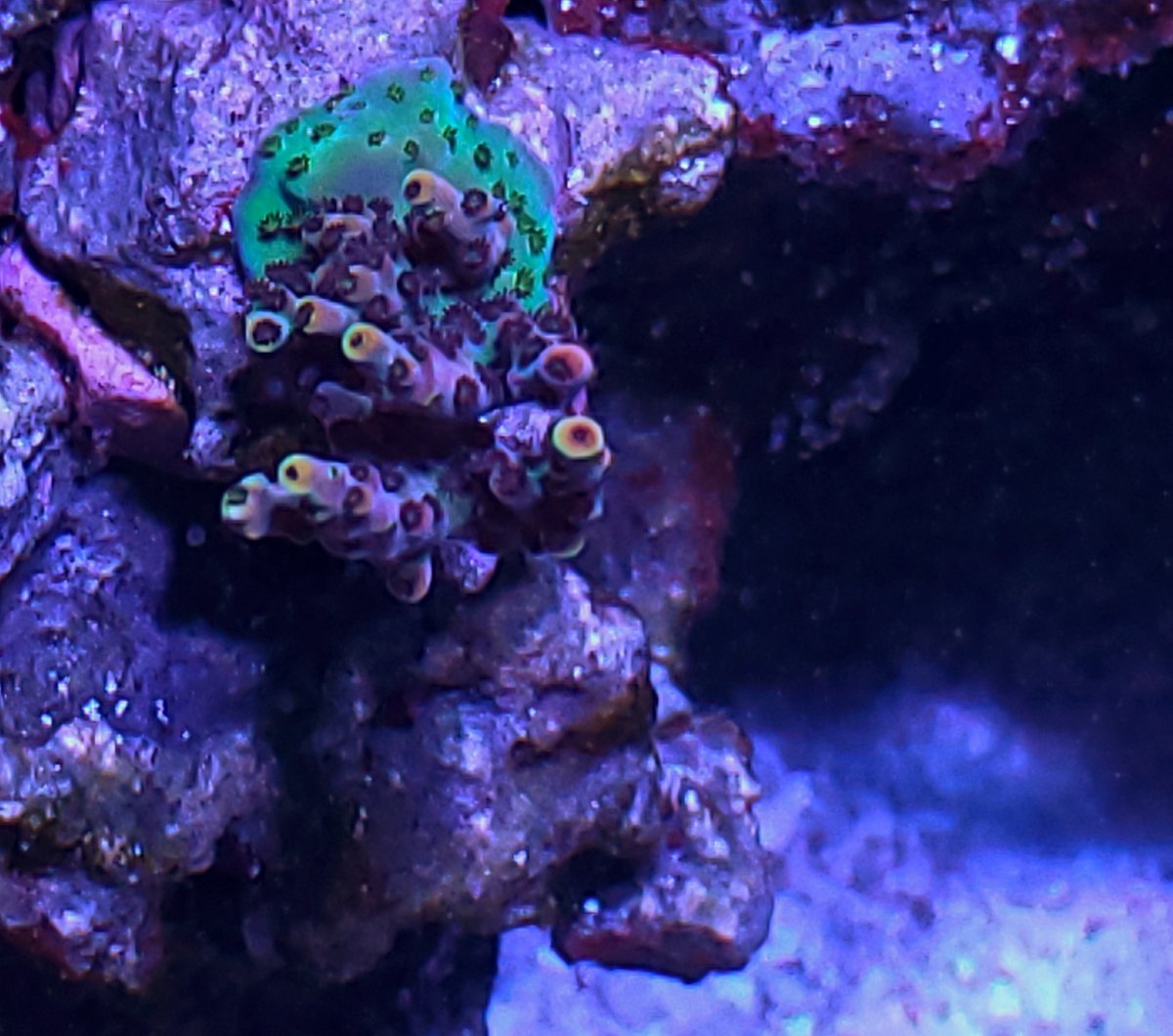 20201225_140610-01.jpeg