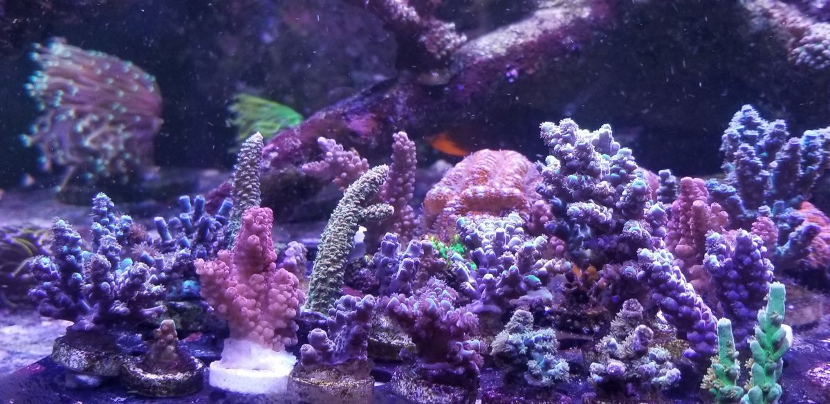 20201225_142906.jpg