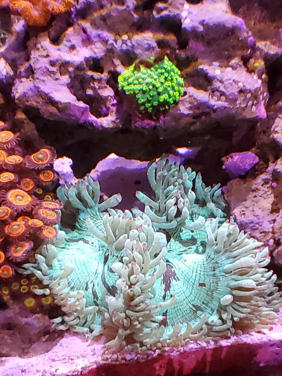 20201225_174530.jpg