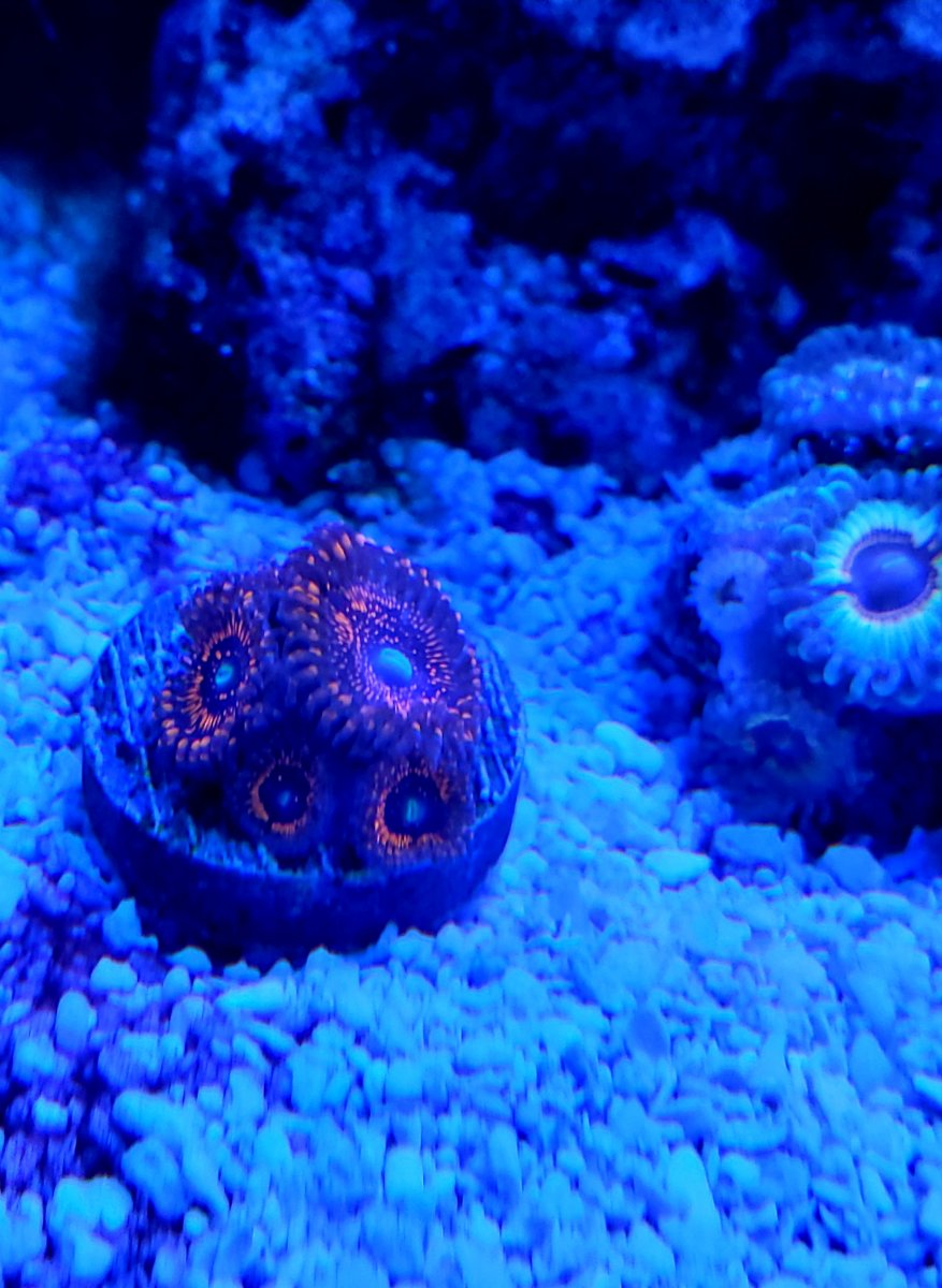 20201227_211446.jpg