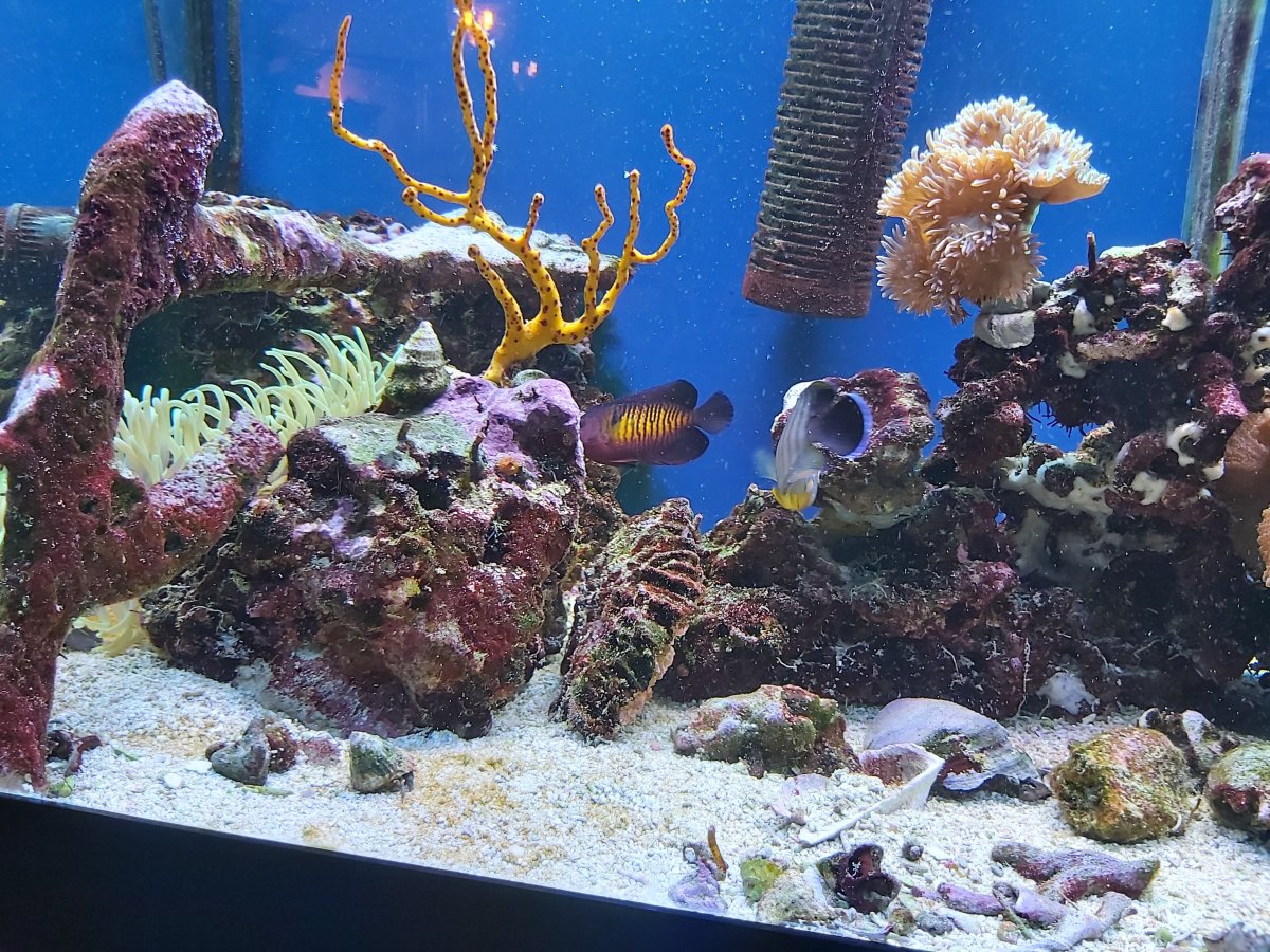 20201228_191029.jpg