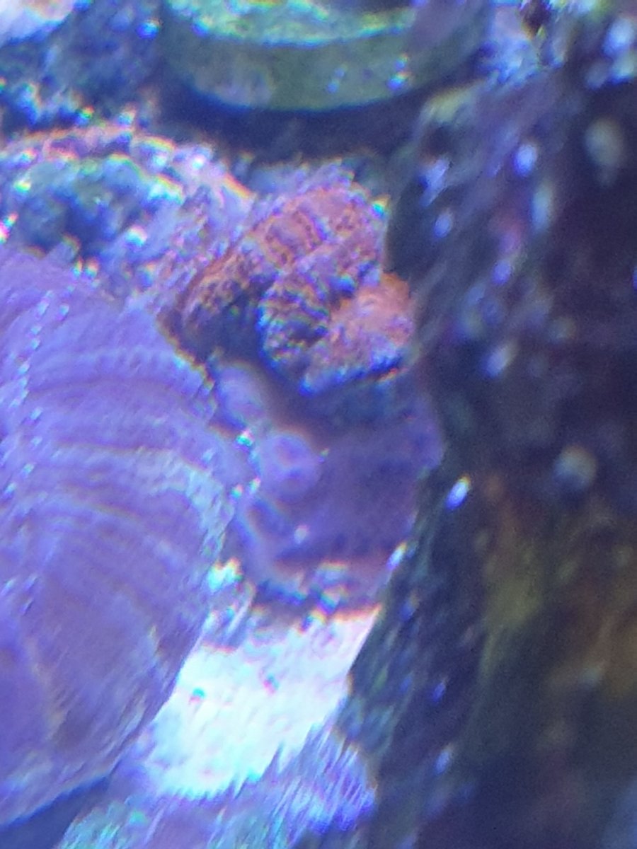 20201229_142802.jpg
