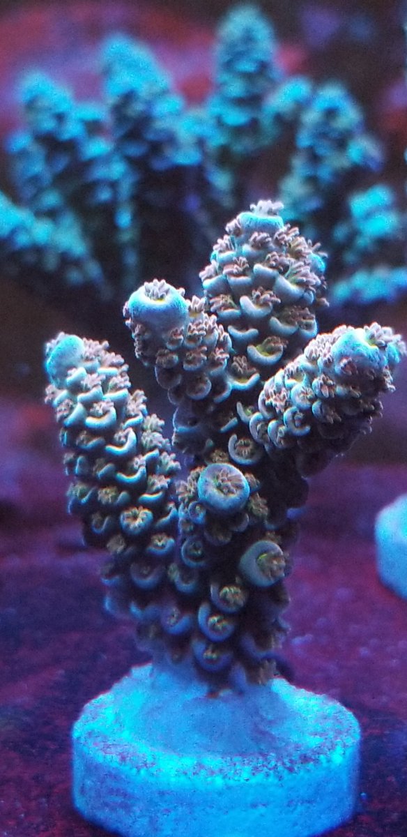 20201231_190237.jpg