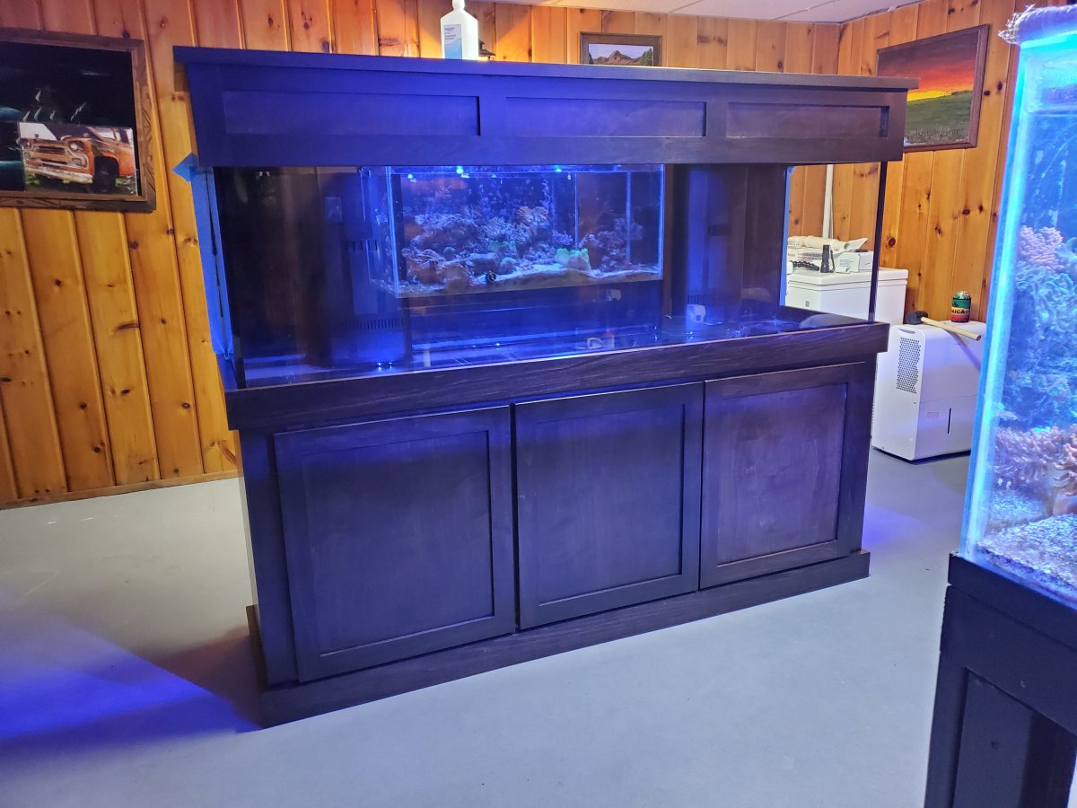 Build Thread My 125 gallon from 75 gallon upgrade build Reef2Reef
