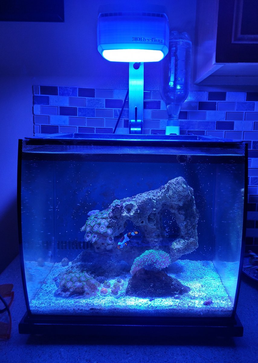 Fluval flex 9 gallon stand cheap