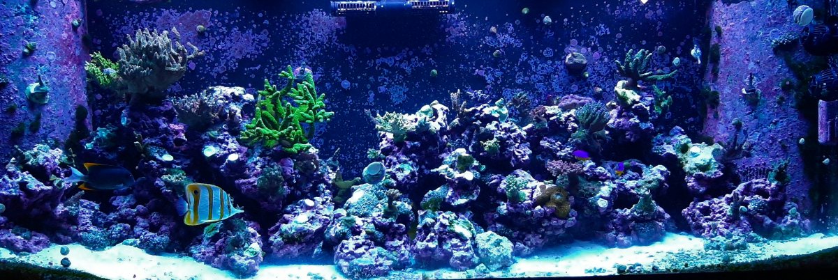 20210118_110249.jpg