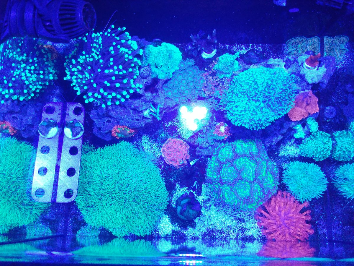 Nano Build Aquatop Recife Eco 24G AIO Mixed Reef2Reef